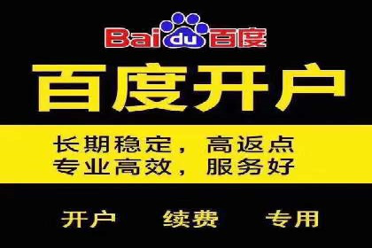 某品牌通过SEM竞价代运营公司实现品牌飞跃的历程